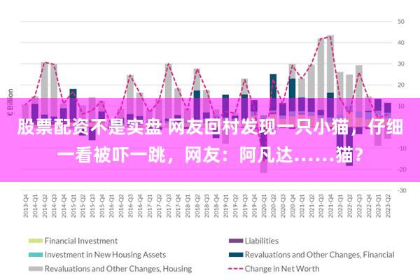 股票配资不是实盘 网友回村发现一只小猫，仔细一看被吓一跳，网友：阿凡达……猫？