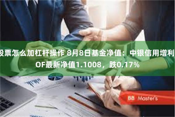 股票怎么加杠杆操作 8月8日基金净值：中银信用增利LOF最新净值1.1008，跌0.17%