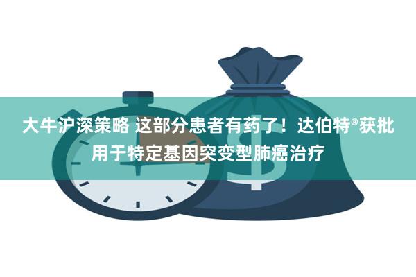 大牛沪深策略 这部分患者有药了！达伯特®获批用于特定基因突变型肺癌治疗