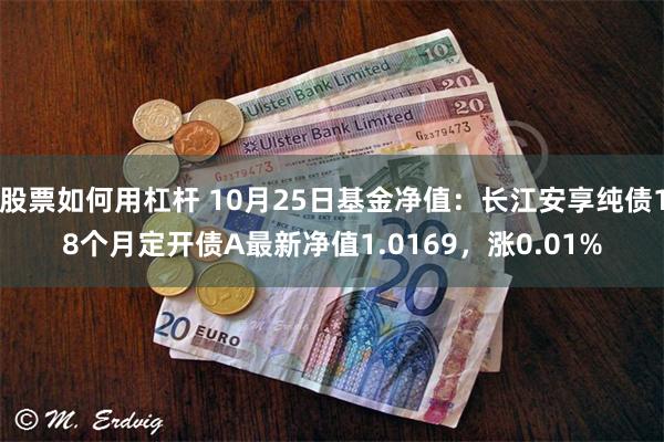 股票如何用杠杆 10月25日基金净值：长江安享纯债18个月定开债A最新净值1.0169，涨0.01%