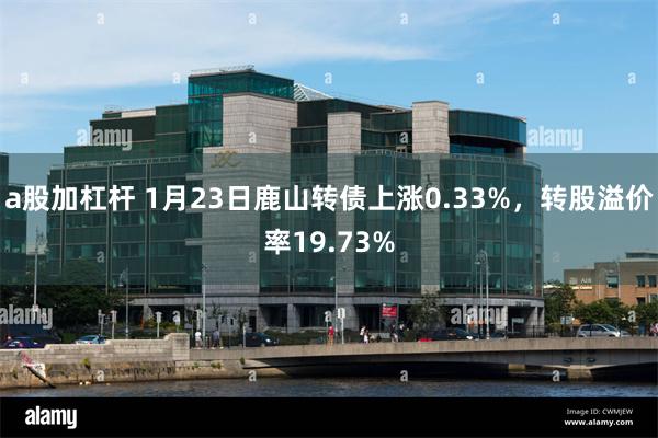 a股加杠杆 1月23日鹿山转债上涨0.33%，转股溢价率19.73%