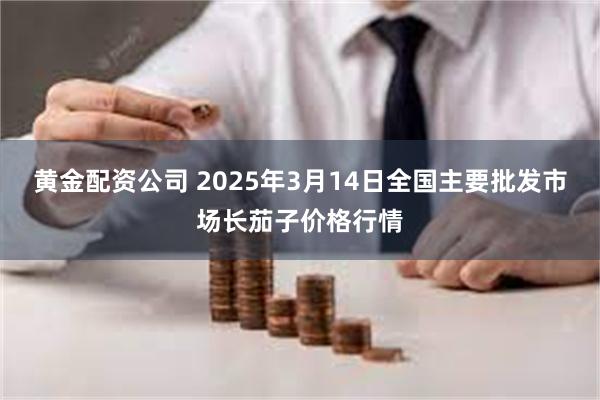 黄金配资公司 2025年3月14日全国主要批发市场长茄子价格行情