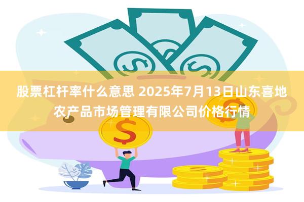 股票杠杆率什么意思 2025年7月13日山东喜地农产品市场管理有限公司价格行情