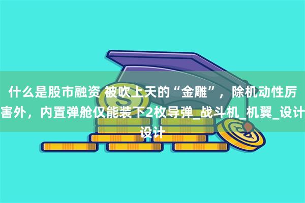 什么是股市融资 被吹上天的“金雕”，除机动性厉害外，内置弹舱仅能装下2枚导弹_战斗机_机翼_设计