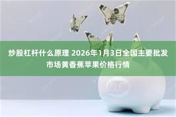 炒股杠杆什么原理 2026年1月3日全国主要批发市场黄香蕉苹果价格行情